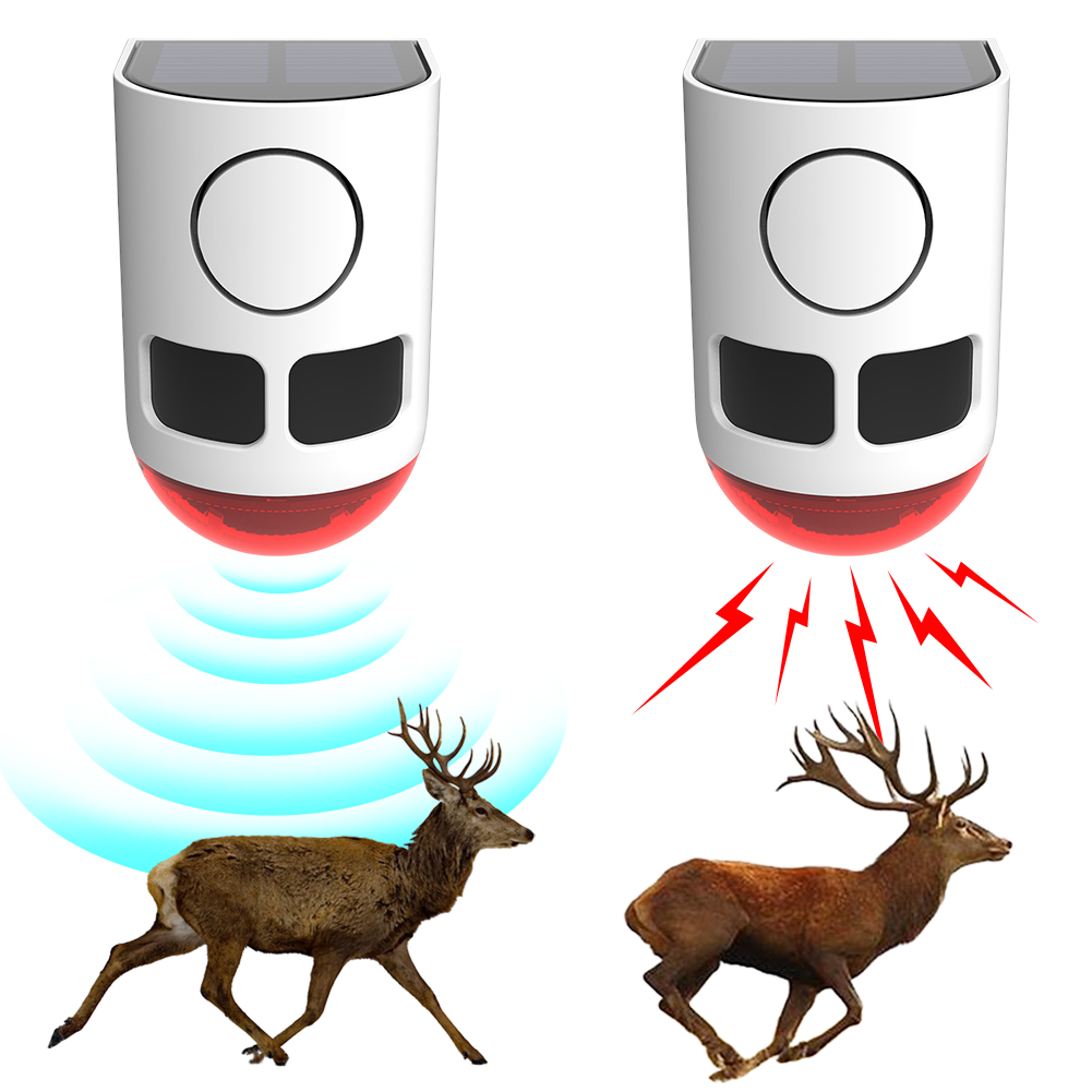 Solar Outdoor Motion Sensor Al - đánh giá và giá Home Security Lights Outdoors