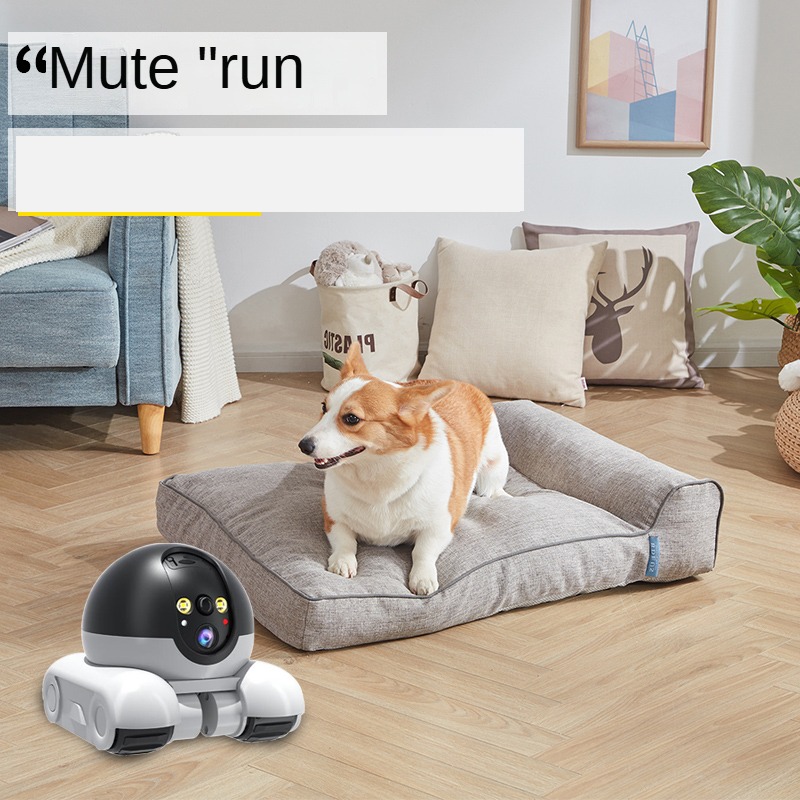 New 1080P HD WIFI Camera PTZ I - đánh giá và giá Home Security Robot